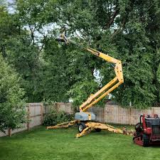 Best Pest Control for Lawns  in Monroe, UT
